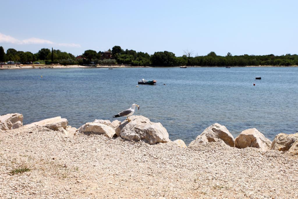 Lovely Apartment Es Umag Exteriér fotografie